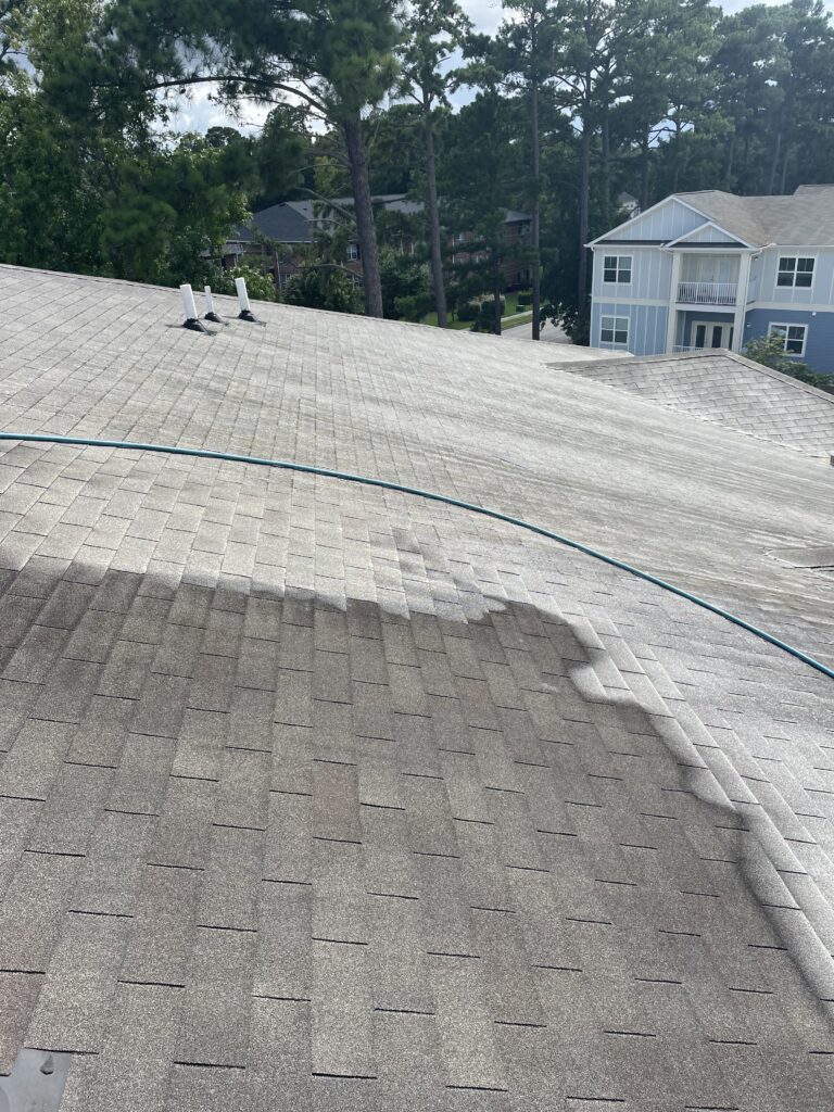 roof cleaning wilmington nc