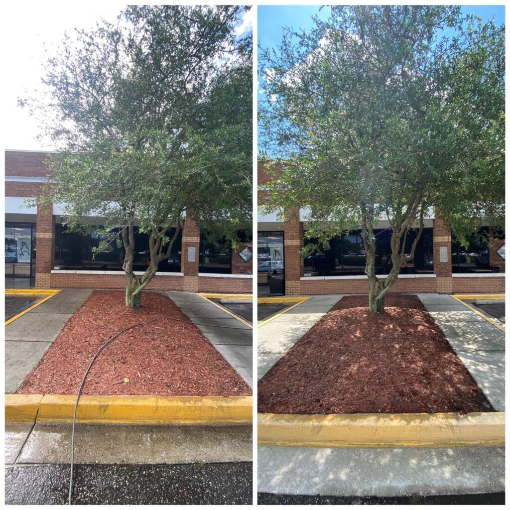 commercial power washing in wilmington nc 1